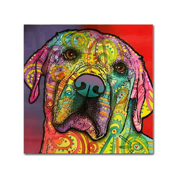 Trademark Fine Art 'Starry Lab' Canvas Art by Dean Russo