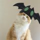thumbnail image 4 of Sombrero De Mascota De Halloween Adornos De Tocado En Forma De Murciélago Lindo Tocado De Mascota Suave Para Cumpleaños Halloween Navidad Eigraketly HA037011-00, 4 of 6