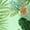 Green, variant on Womens Hawaiian Floral Shirt Short Sleeve Button Up Top Summer Casual Beach Lightweight Tropical Print Blouse T-shirts