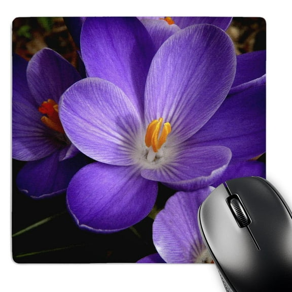 3dRose, Purple Flower, MousePad