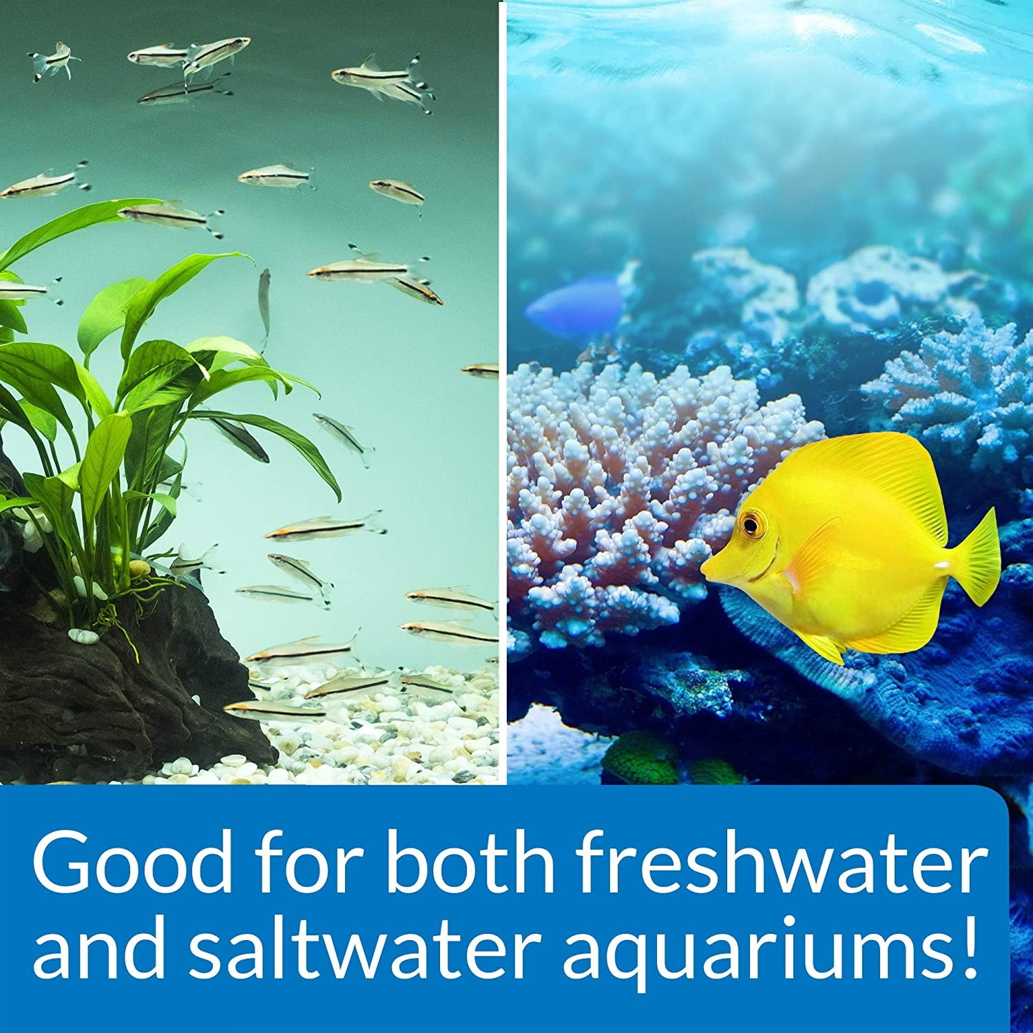 API Stress Zyme Plus Bio Filtration Booster [Aquarium Bio Additives, Aquarium Supplies] 24 oz (3 X 8 oz)