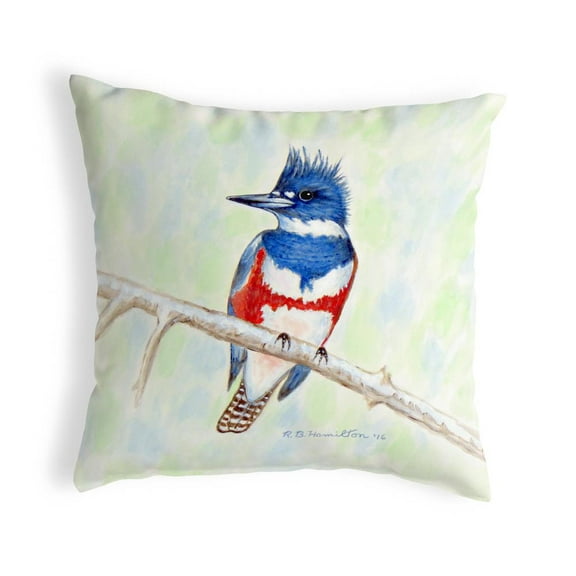 Kingfisher No Cord Pillow 18x18