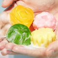thumbnail image 3 of DIY Handmade Soap Crystal Soap Plant Soap Making Kit, 3 of 5