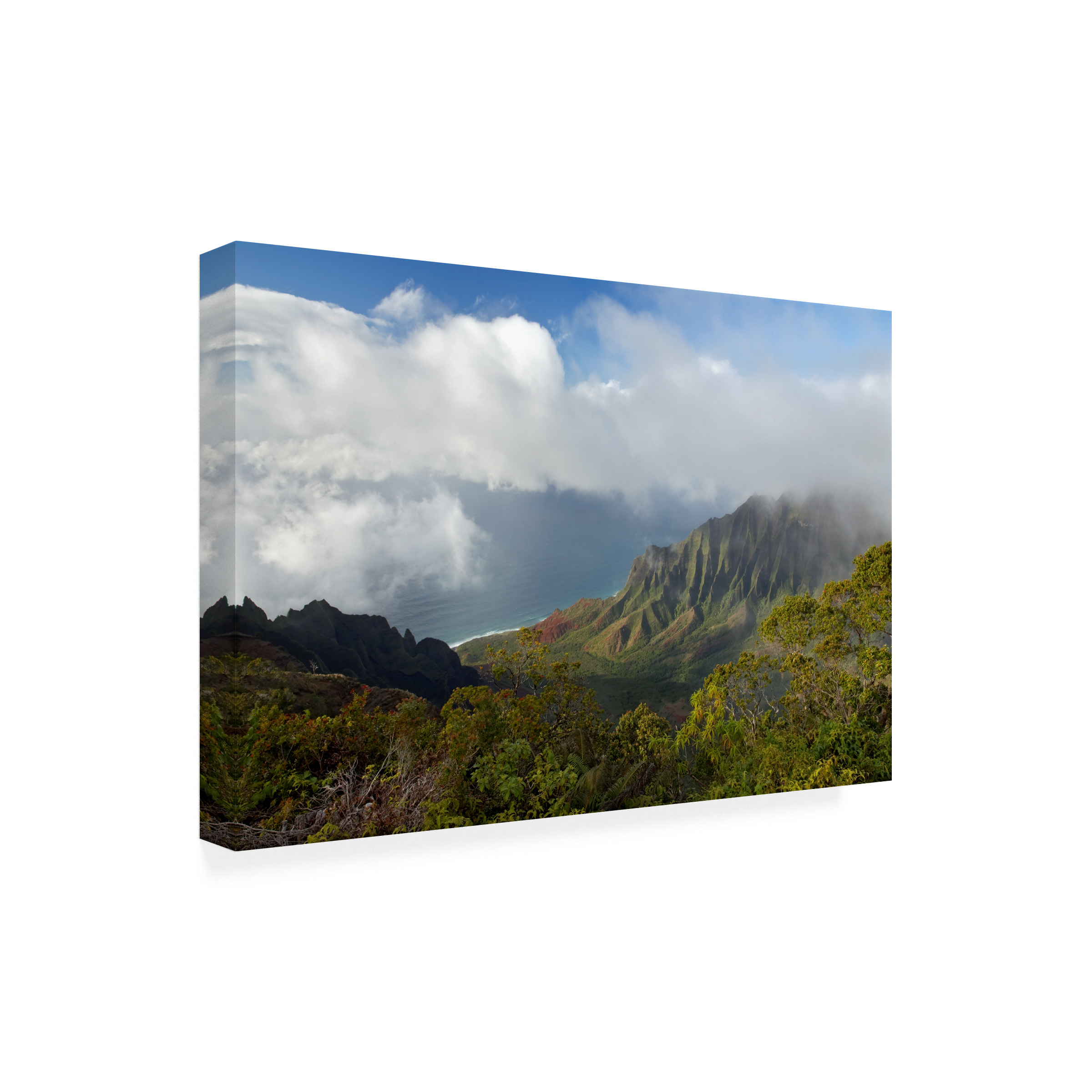 Trademark Fine Art 'Kauai Kalalou Canyon' Canvas Art by Mike Jones Photo