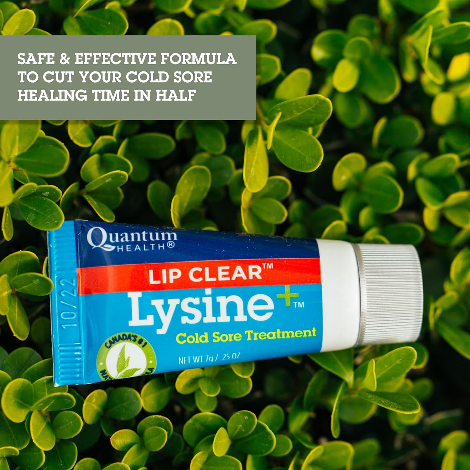 (4 pack) Quantum Health Lip Clear Lysine+ Cold Sore Ointment, 0.25 oz