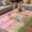 Light Pink, variant on Green Happy Easter Outdoor Rug for Patio/Deck/Porch, Non-Slip Large Area Rug 6 x 9 Ft, Spring Easter Eggs Floral Plaid Indoor Outdoor Rugs Washable Area Rugs, Reversible Camping Rug Carpet Runner