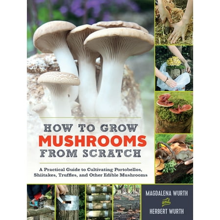 How to Grow Mushrooms from Scratch - Hardcover (Best Psychedelic Mushrooms To Grow)