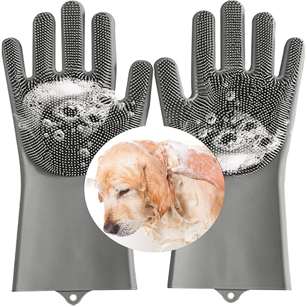 Can You Get A Dog Groomed While In Heat