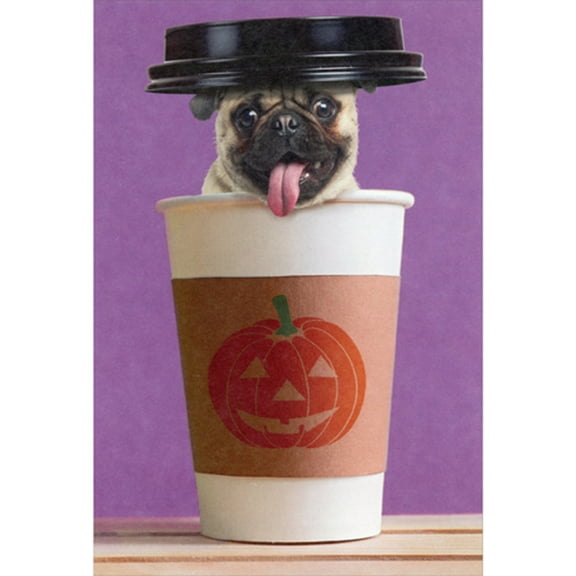 Recycled Paper Greetings Pug in Coffee Cup with Lid on Head Funny / Humorous Dog Halloween Card