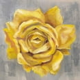 thumbnail image 2 of Vassileva, Silvia 20x20 White Modern Wood Framed Museum Art Print Titled - Yellow Roses II, 2 of 4