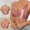 Pink, variant on Women's Wireless Bras Fixed Back Hook Closure Adjustable Strap Seamless Push Up