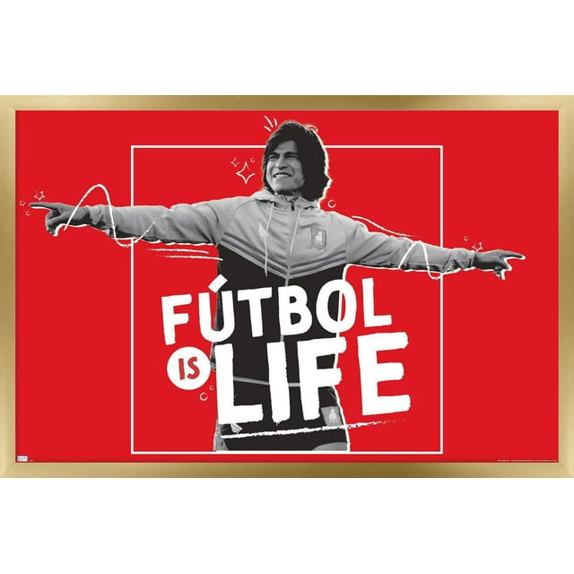 Ted Lasso - Le football c'est la vie