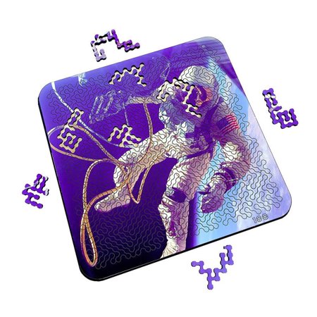 Mind Bending Puzzle - Space Walk price history on PriceWatchPro