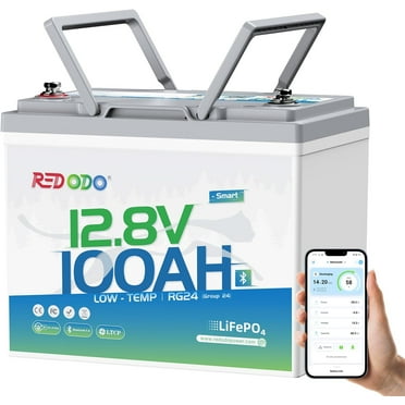 Redodo 12V 100Ah LiFePO4 Battery Bluetooth Low-Temp Protection Group 24 Lithium Battery for Trolling Motor, Bulit-in 100A Smart BMS, 10 Years Lifetime, Ideal for Marine, Boat, RV, Solar and Off Grid