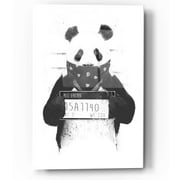 Epic Art 'Bad Panda' by Balazs Solti, Acrylic Glass Wall Art, 12"x16"