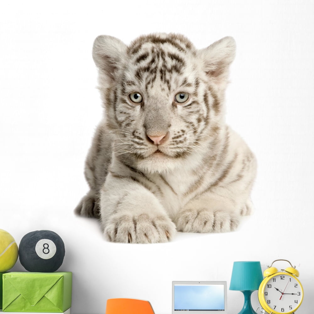 Medium-Large 30 in W x 20 in H Wallmonkeys WM97353 White Tiger Peel and Stick Wall Decals 