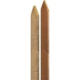 thumbnail image 2 of Bond Hardwood Stakes for Plant Support, Natural Wood, 5ft (Pack of 6), 2 of 2