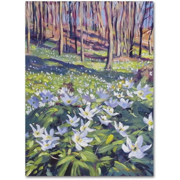 Trademark Fine Art "Anemones in the Meadow" Canvas Art by David Lloyd Glover