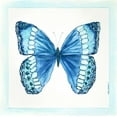 thumbnail image 2 of Shamp, Cindy 20x20 White Modern Wood Framed Museum Art Print Titled - Butterfly II, 2 of 4