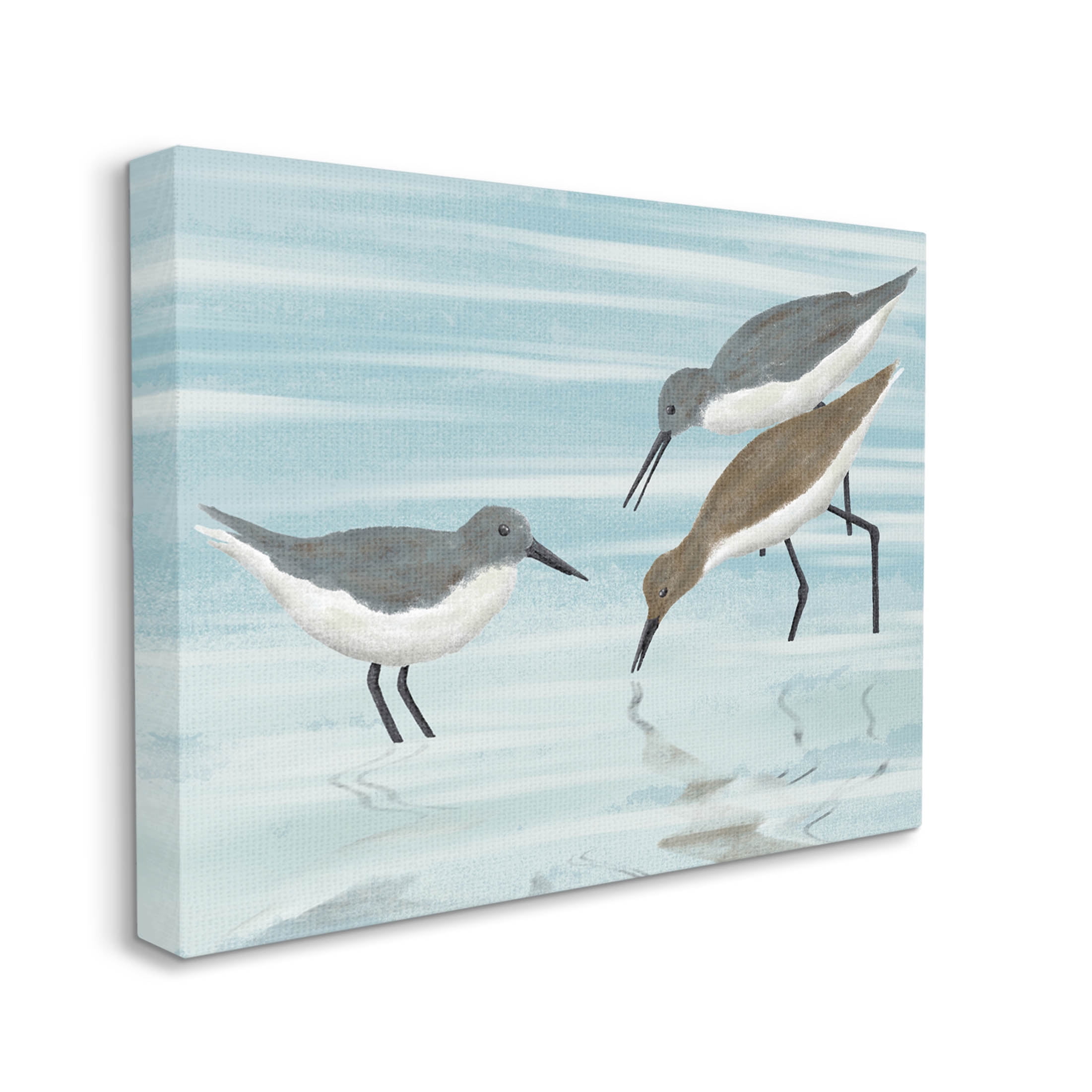 Stupell Industries Sandpipers Grazing Shallow Beach Water Graphic Art Gallery Wrapped Canvas Print Wall Art, Design by Marcus Prime