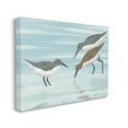 thumbnail image 3 of Stupell Industries Sandpipers Grazing Shallow Beach Water Graphic Art Gallery Wrapped Canvas Print Wall Art, Design by Marcus Prime, 3 of 7