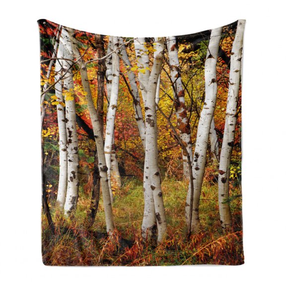 Fall Soft Flannel Fleece Throw Blanket, White Birch Trees Autumn Leaves Growth Wilderness Ecology Calm Serene View Print, Cozy Plush for Indoor and Outdoor Use, 50" x 60", Multicolor, by Ambesonne