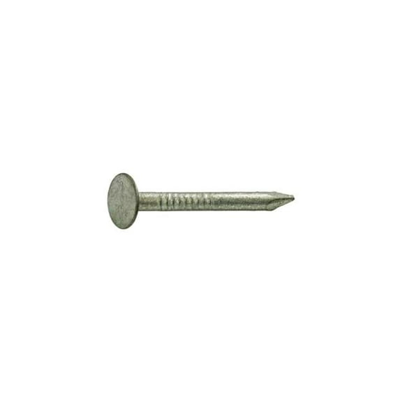 No.11 1.75 in. 1 lbs Roofing Hot-Dipped Galvanized Steel Nail Round - Pack of 12
