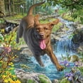 thumbnail image 2 of Ceaco - Mark Fredrickson - Chocolate Lab - 550 Piece Jigsaw Puzzle, 2 of 2