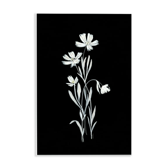 Stupell Industries Tall Stems on Black Plants & Flowers Painting Unframed Art Print Wall Art, 10 x 15