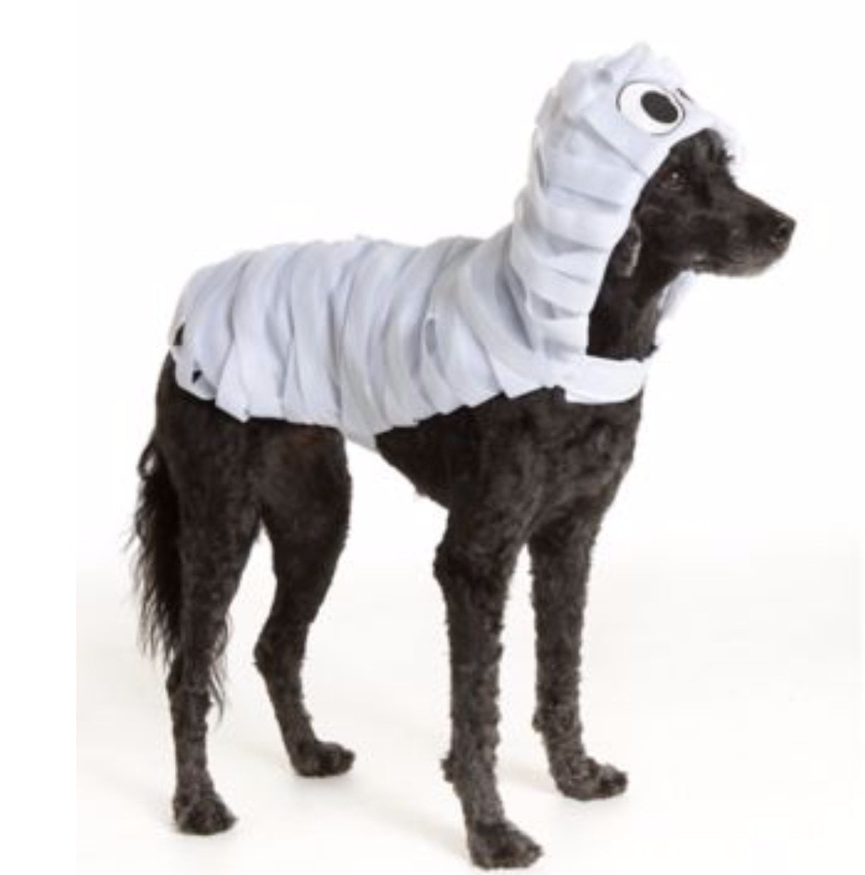 Size S,M,L,XL OVER THE COLLAR,clothes Halloween Mummy! Dog Bandana pet 