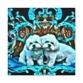 thumbnail image 2 of Maltese Shepherdess Painting - Canvas, 2 of 25
