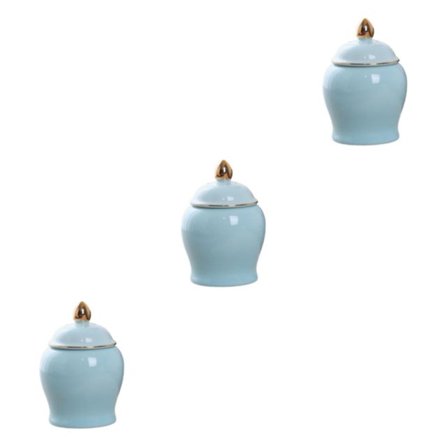 Bearachild Jengibre y organizador duradero, bote para té, tarro de almacenamiento sellado, encimeras de cocina, tarro de jengibre, té, Type1 NO1