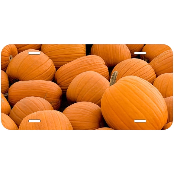 Pumpkin Novelty Car Auto License Plate