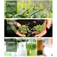 thumbnail image 3 of Hojas De Té, Té Verde De Alta Montaña Fresco Y Fácil De Conservar Para La Mañana, 3 of 7