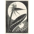 thumbnail image 2 of Samuel Jessurun de Mesquita 18x24 Black Ornate Framed Double Matted Museum Art Print Titled: Faded Strelitzia (1934), 2 of 5