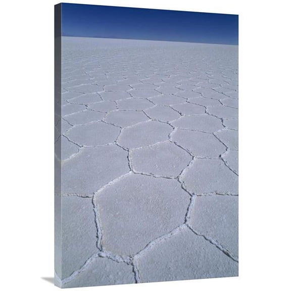 24 x 36 in. Hexagonal Crystallization Fissures in Salar De Uyuni Salt Pan, Bolivia Art Print - Grant Dixon