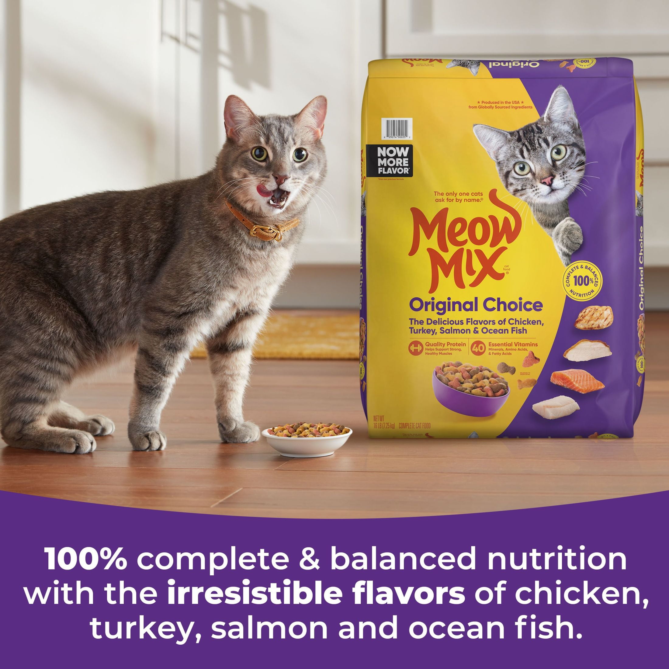 Meow Mix Original Choice Dry Cat Food Tender Crunchy 16 Pounds Walmart