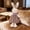 christmas gifts, variant on Novelty Beige Rabbit Plush Toy, Soft Short Cotton Plush For Comfort, Portable For Home Car Camping Halloween Christmas Parties