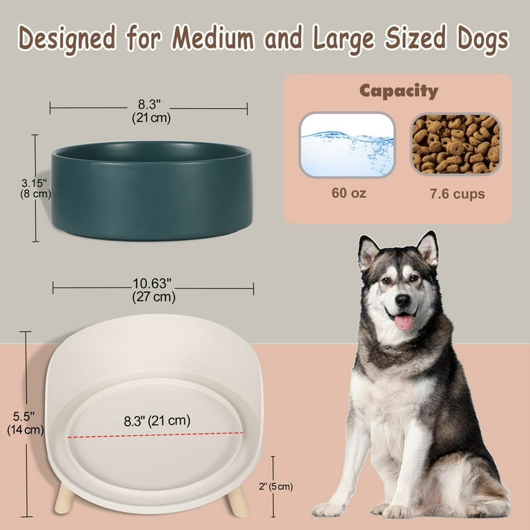Outdoor dog food bowl online