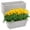 Gray, variant on 8pcs Window Box Planter, 17 Inches Flower Window Boxes, Rectangle Planters Box with Drainage Holes and Trays, Plastic Vegetable Planters for Windowsill Patio Garden Home Decor Porch Yard (Grey)