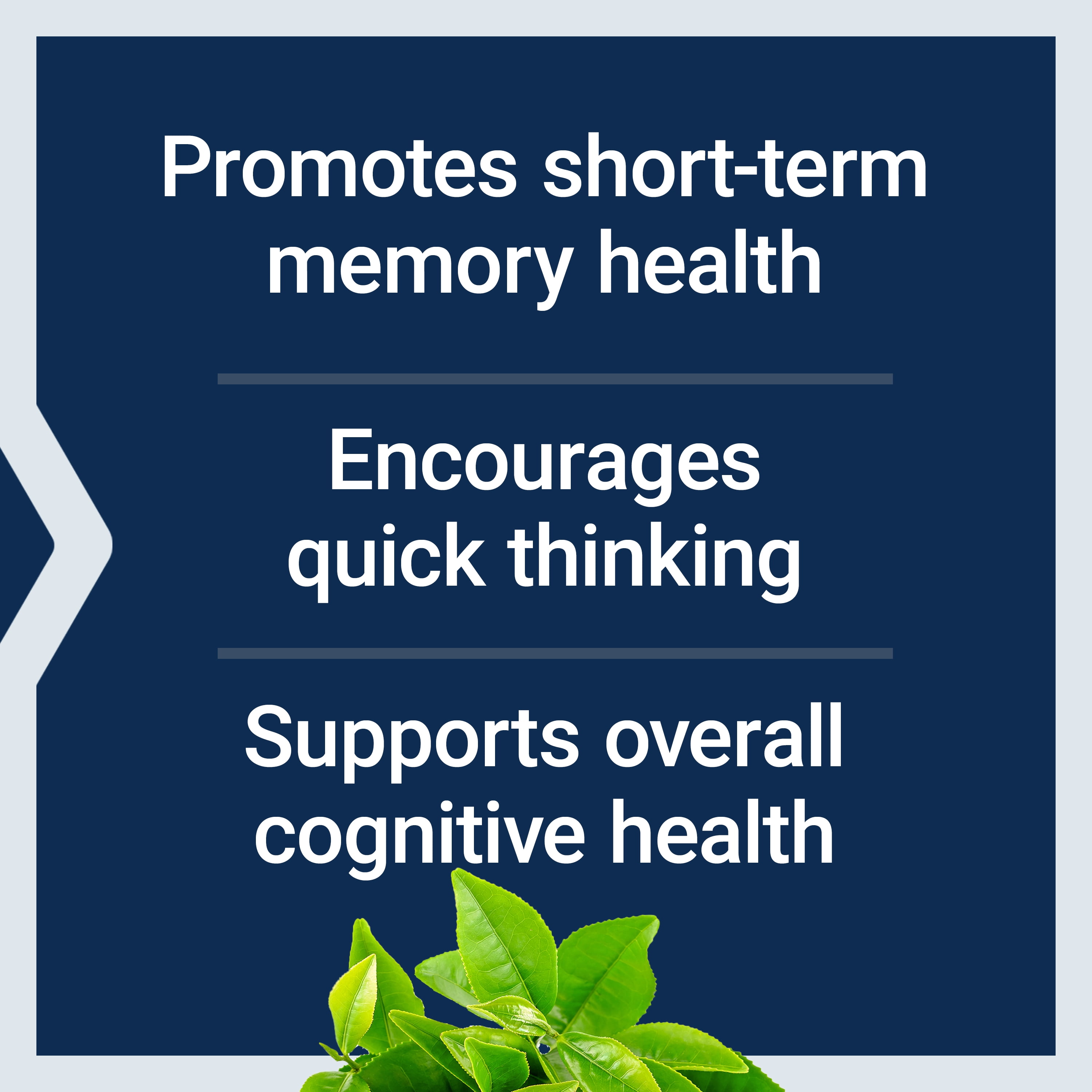 (4 pack) Life Extension, Neuro-Mag® Magnesium L-Threonate, 2000 mg of magnesium L-threonate, memory health, 90 capsules.