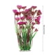 thumbnail image 5 of Simulation Plastic Vivid Artificial Coral Plant, Non- Toxic 23.62 Inch Height Water Plant Ornament Aquarium Ornament Plastic Coral, For Fish Tank Aquaridum ANGGREK No, 5 of 7