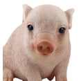 thumbnail image 6 of Ebros Rustic Adorable Animal Farm Babe Fat Nude Piglet Pig Sitting Figurine 6"L, 6 of 9