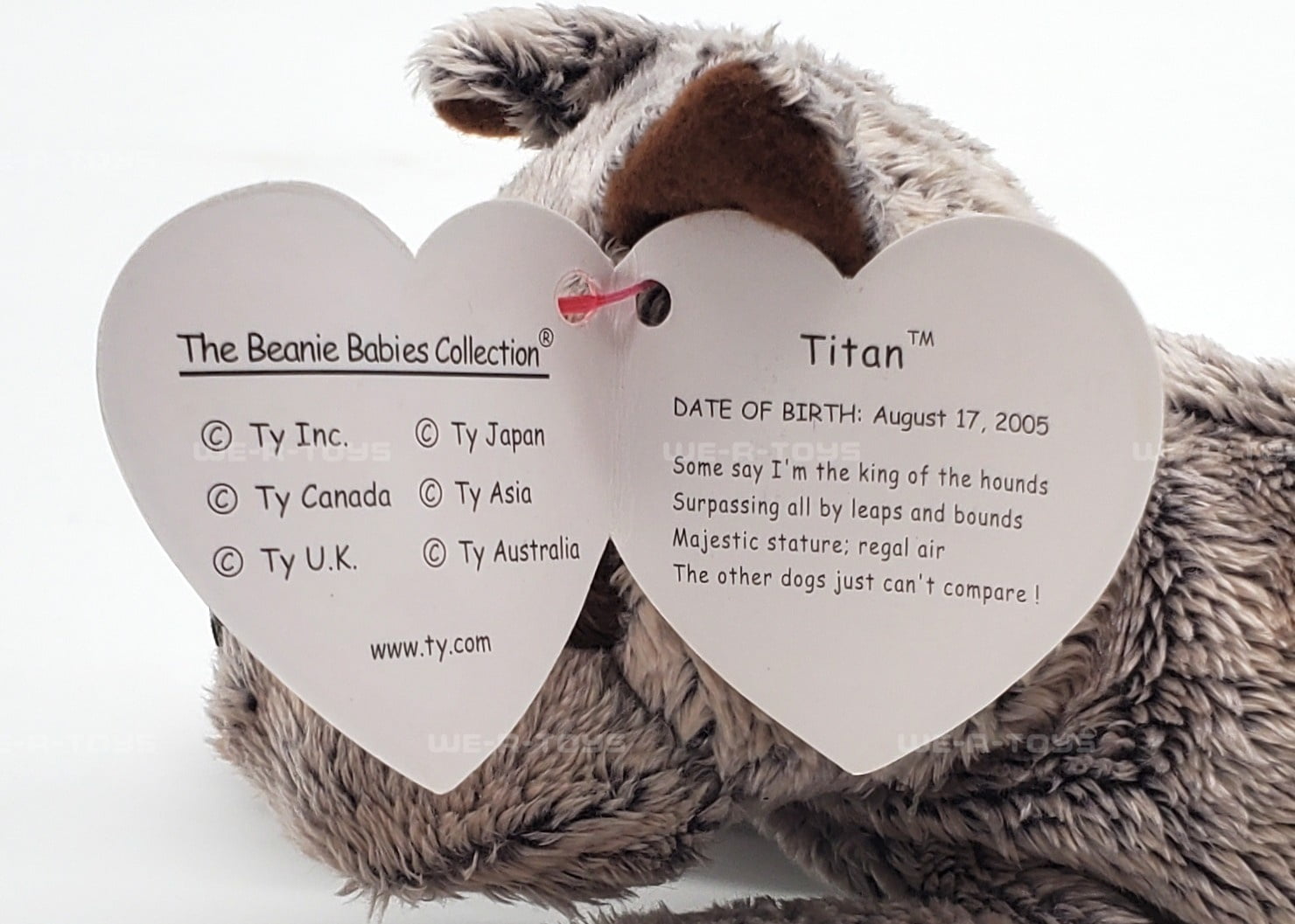 Ty Beanie Baby: Titan the Dog | Stuffed Animal | MWMT's - Walmart.com