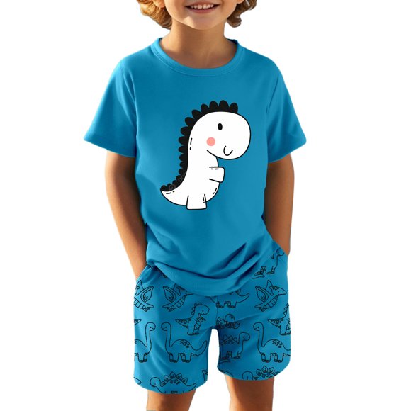 Kid Boy Clothes Summer Clothes Pullover Dinosaur Short Sleeve Tops Shorts Kids Clothes 6T Boys