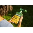 thumbnail image 6 of Sunday Growth & Greening Lawn Kit: Lawn Kickstart + Green Machine Liquid Lawn Fertilizer, 5,000 sq. ft., Two 42 fl oz Bottles, 6 of 10