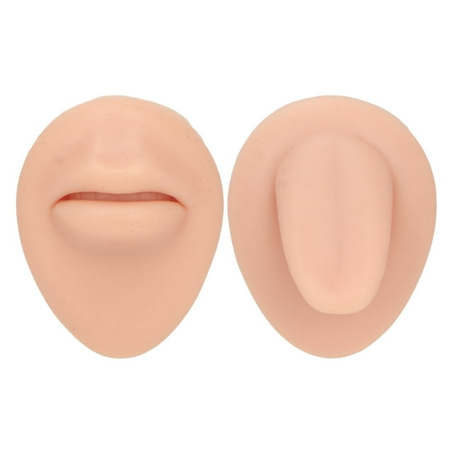 Modelo de lengua de boca de silicona, conjunto de modelo de exhibición de lengua de lengua de boca de silicona simulada Kit de modelo de lengua de boca probado profesionalmente