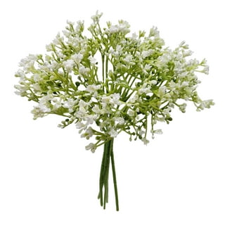 JUSTOYOU 10 Pcs 30 Bunches White Babies Breath Flowers 8 Fake White  Artifcial Flower Bulk, Artificial Gypsophila PU Silica for Wedding Bridal  Bouquet
