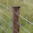 thumbnail image 3 of Origin Point Brands 9177171 17 Gauge Electric Fence Wire, 0.5 Mile, 3 of 5