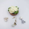 thumbnail image 4 of Agiferg Silica Gel Transparent Ear Plug Ear Stud Plug Box 1080pc, 4 of 9